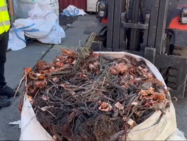 Operación Alto Voltaje: Confirman prisión preventiva de miembros de clan familiar