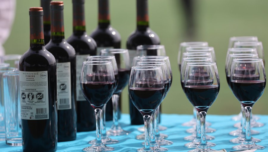 Crisis en la industria del vino: Viñas chilenas viran hacia segmentos premium