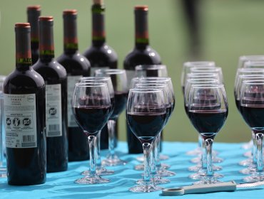 Crisis en la industria del vino: Viñas chilenas viran hacia segmentos premium
