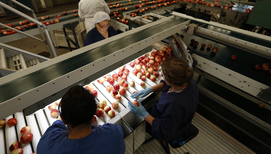 Hito comercial: Chile estrena certificación fitosanitaria 100% digital con China