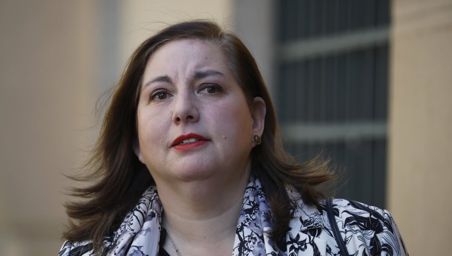 Presidenta del PS plantea que el plan de Reconstrucción Nacional busca la "inamovilidad tributaria por 30 años"