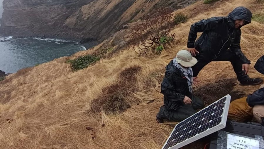 Instalan primera red de sensores sísmicos en Juan Fernández para estudiar su subsuelo