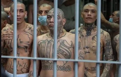 Juicio histórico en El Salvador: 492 cabecillas de la MS-13 al banquillo por 47.000 delitos