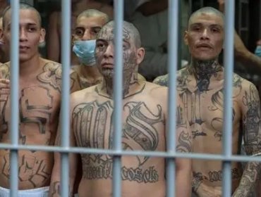 Juicio histórico en El Salvador: 492 cabecillas de la MS-13 al banquillo por 47.000 delitos
