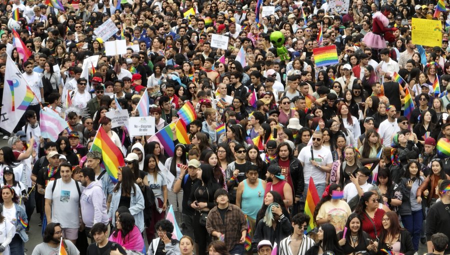 Movilh valora que Chile firmara declaración internacional contra la criminalización de las relaciones homosexuales