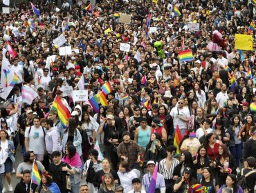 Movilh valora que Chile firmara declaración internacional contra la criminalización de las relaciones homosexuales