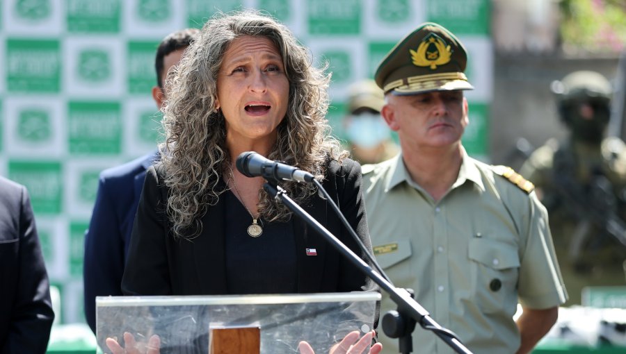 Subsecretaria de Prevención del Delito tilda de "bastante interesadas" las críticas del exministro Cordero