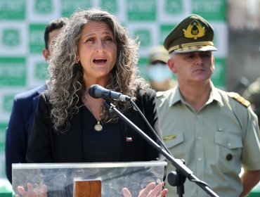 Subsecretaria de Prevención del Delito tilda de "bastante interesadas" las críticas del exministro Cordero