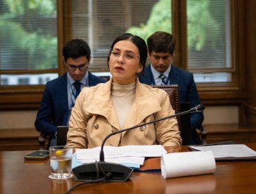 “Primero el incendio, ahora las demoliciones”: Senadora Karol Cariola denuncia falta de transparencia en el sector de El Olivar