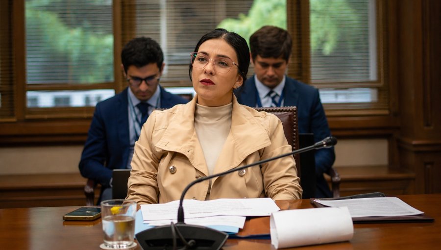 “Primero el incendio, ahora las demoliciones”: Senadora Karol Cariola denuncia falta de transparencia en el sector de El Olivar