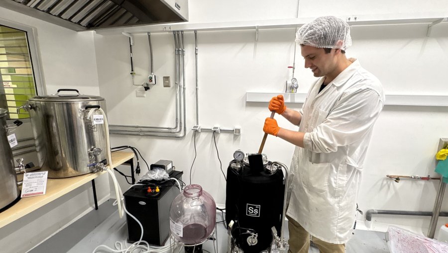 Taller de Microvinificación: PUCV impulsa asignatura con planta que integra producción de cerveza y vino