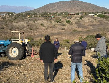 Papudo inicia ofensiva contra loteos irregulares con demolición de casas sin autorización de edificación