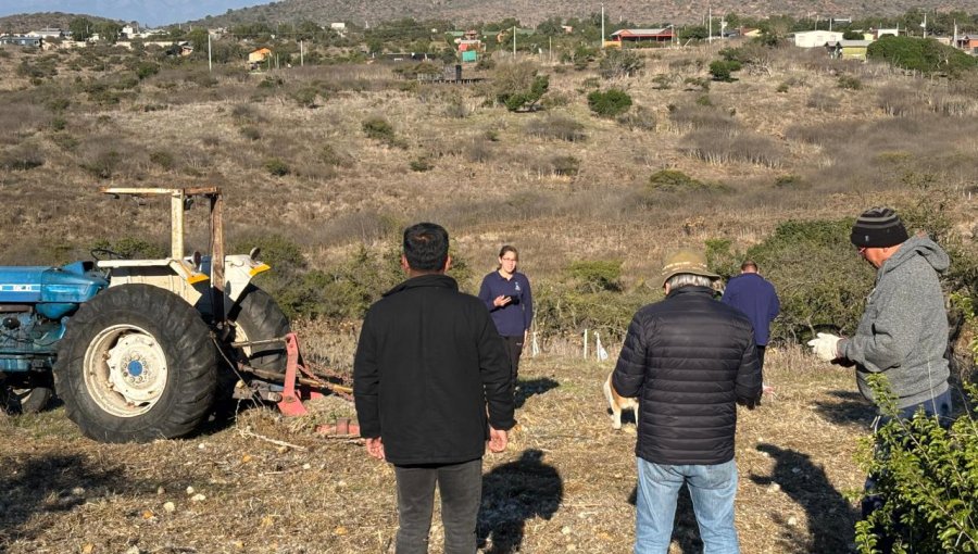Papudo inicia ofensiva contra loteos irregulares con demolición de casas sin autorización de edificación
