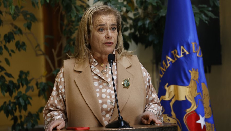 UDI busca excluir a altas autoridades de beneficios tributarios en Ley de Reconstrucción