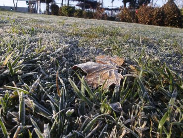 Frío intenso marca récord anual en la zona central: Se anticipa un duro amanecer para este lunes