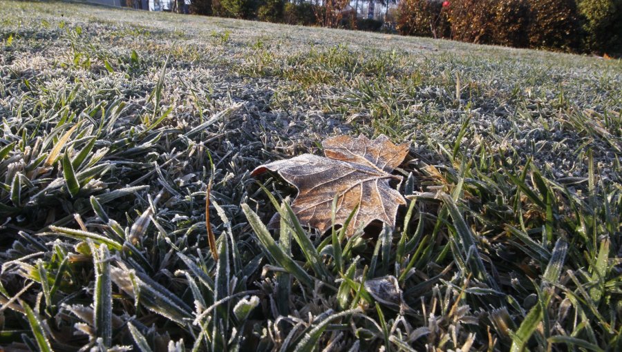 Frío intenso marca récord anual en la zona central: Se anticipa un duro amanecer para este lunes