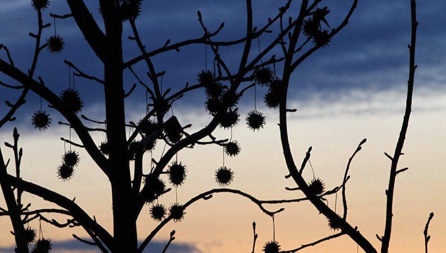 Anuncian heladas entre Valparaíso y Biobío con mínimas bajo cero