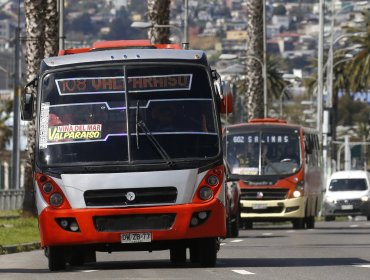 Caos inminente en el Gran Valparaíso: gremio del transporte confirma paro este mismo lunes en servicios de la provincia de Marga Marga