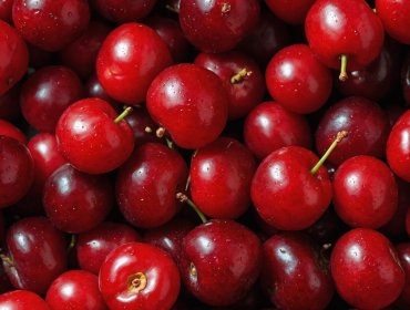 "Pitting superficial": Investigación de la PUCV busca descifrar el daño que deteriora la calidad de la cerezas chilenas