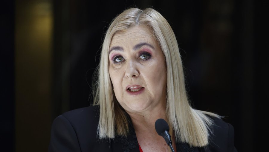 Diputada Jiles afirma que la ministra Sedini "no da pie con bola" y "se ha vuelto un problema para el Gobierno"