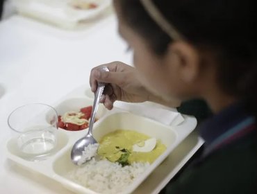 Director de Junaeb garantiza la entrega del Programa de Alimentación Escolar "sin interrupciones"