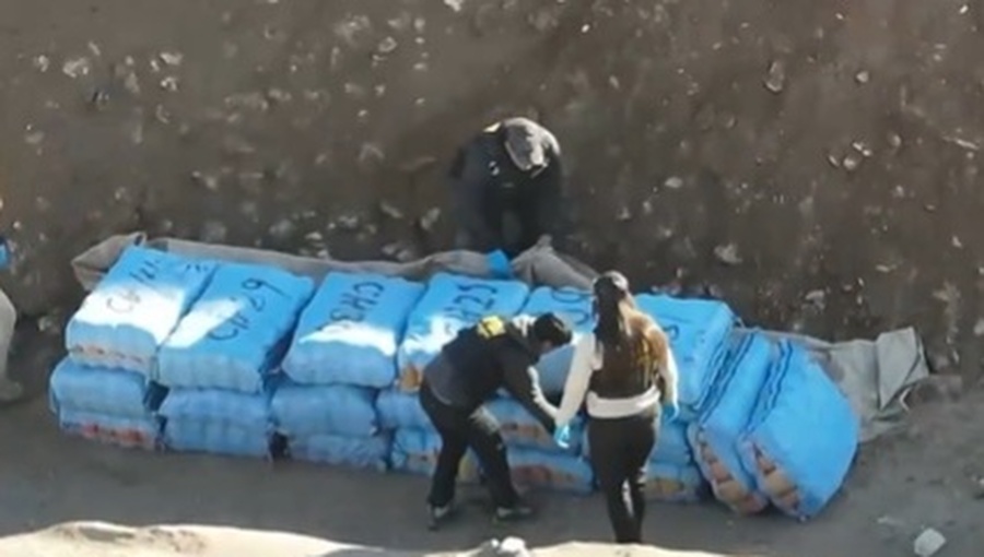 Decomisan centro de acopio con más de media tonelada de marihuana en Antofagasta