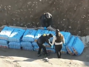 Decomisan centro de acopio con más de media tonelada de marihuana en Antofagasta