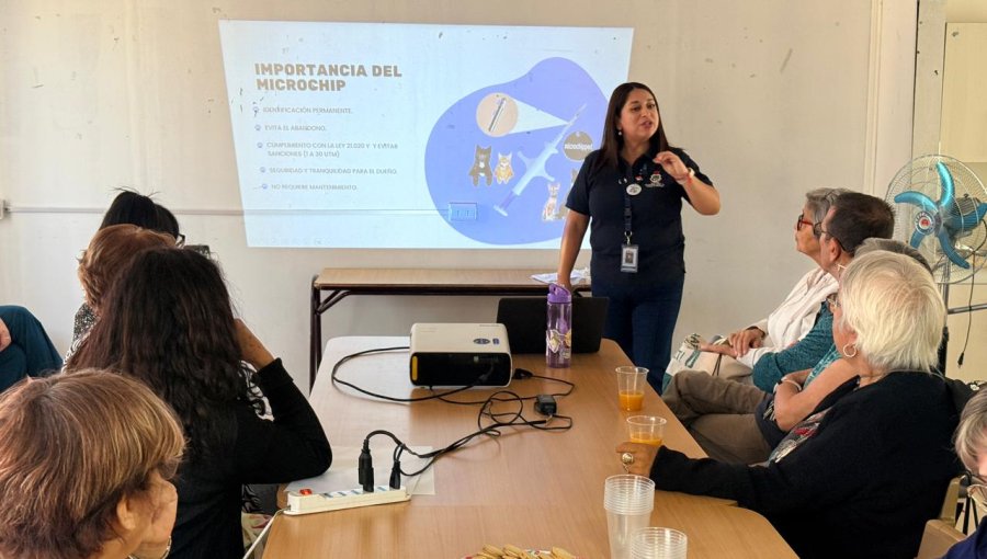 Villa Alemana inicia plan piloto para capacitar a personas mayores como monitores de tenencia responsable de mascotas