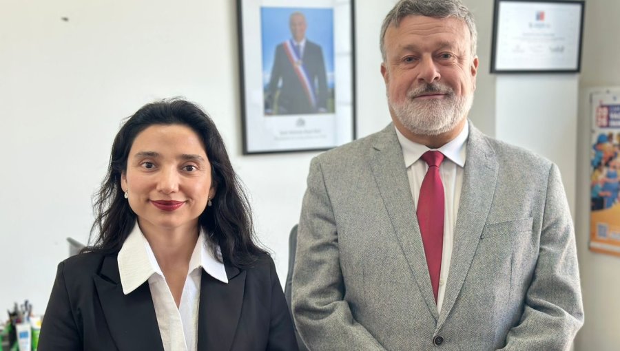 Seremis de Salud y Seguridad coordinan plan para fiscalizar venta ilegal de alimentos y medicamentos en la región de Valparaíso