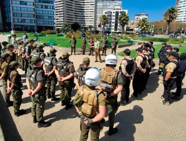 «Ronda Impacto» en Viña deja 29 detenidos y decomiso masivo de comercio ilegal