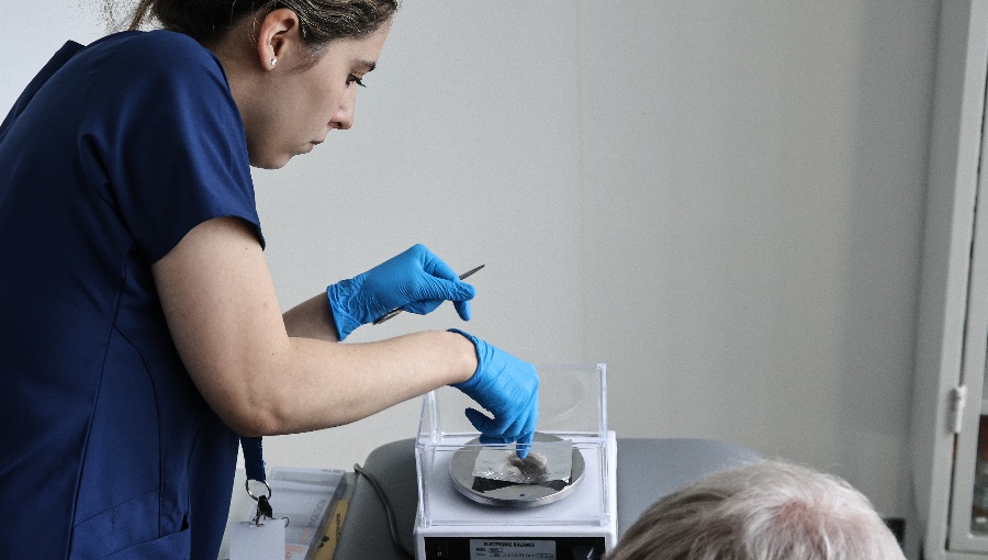 Contraloría instruye a autoridades de Gobierno hacerse test de drogas dos veces al año