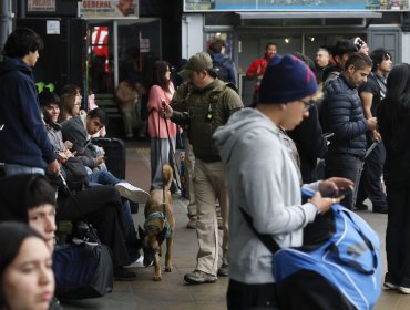 Despliegan plan de contingencia ante masivo flujo de vehículos hacia la región de Valparaíso por fin de semana largo