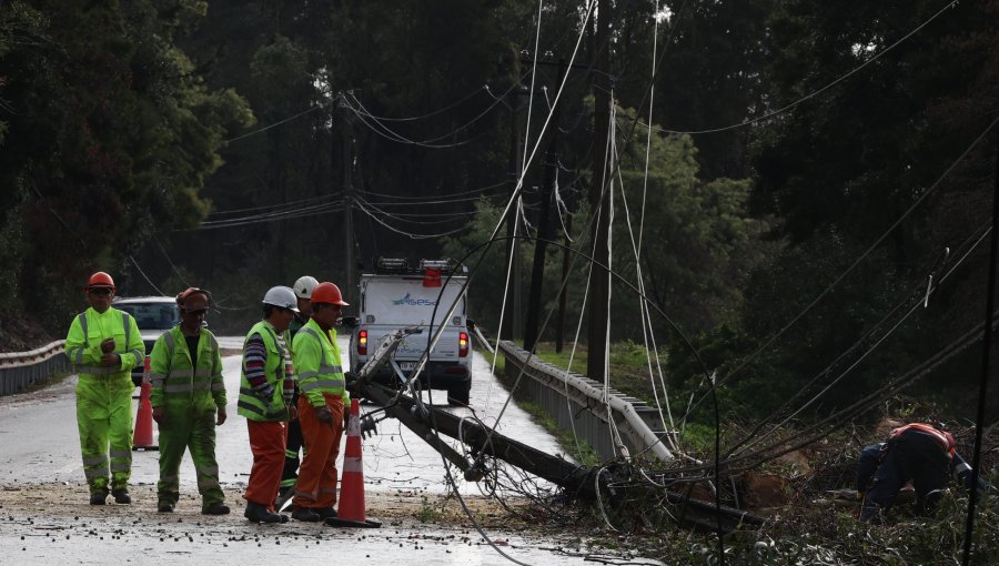 “Empecemos por Casa”: El plan del Gobierno y municipios para frenar cortes de luz por caída de árboles