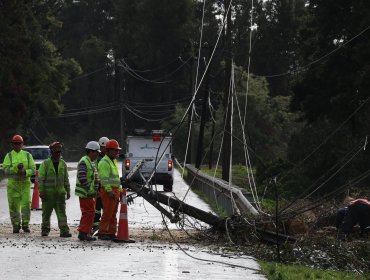 “Empecemos por Casa”: El plan del Gobierno y municipios para frenar cortes de luz por caída de árboles