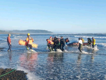 Emergencia en caleta de Toltén deja dos muertos y un sobreviviente