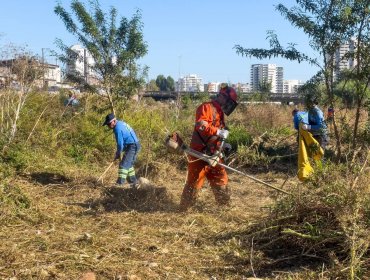 Viña del Mar refuerza limpieza de microbasurales en el marco del Plan Invierno 2026