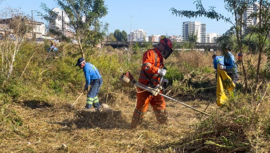 Viña del Mar refuerza limpieza de microbasurales en el marco del Plan Invierno 2026