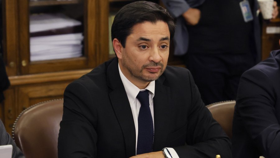 Diputado Carter plantea que a la ministra Steinert "se le está acabando el tiempo" para presentar un plan en materia de seguridad