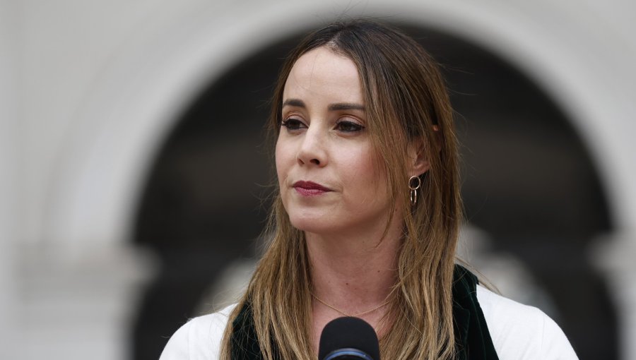 Sedini defiende la gestión de Steinert destacando que ha "impulsado una agenda robusta" en materia de seguridad
