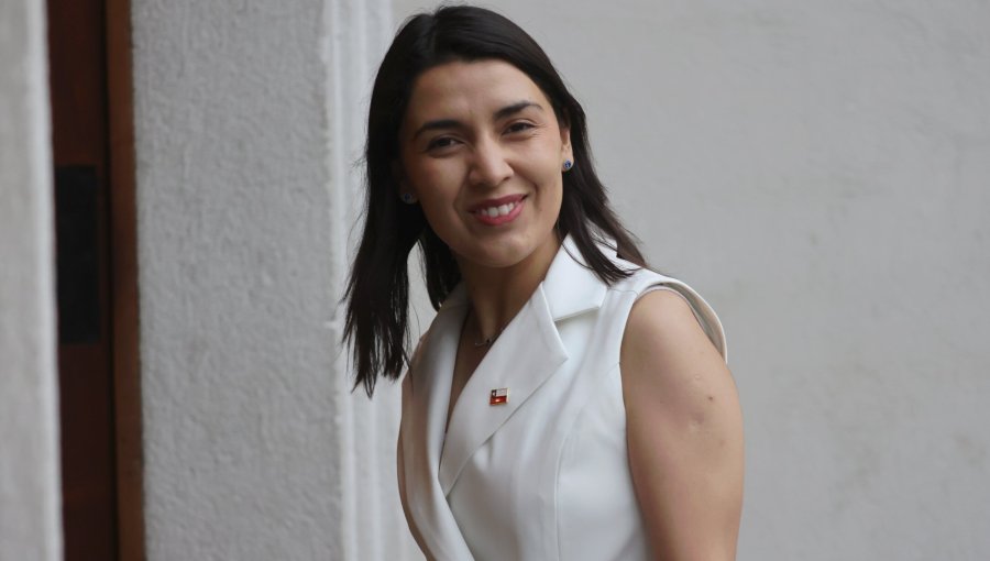 Ministra de la Mujer asegura que ajuste del 3% a la cartera no afectará ejecución de "programas insignes"