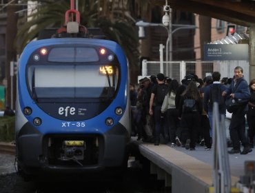 Por caída de un árbol: Servicio del Tren Limache - Puerto operará con frecuencia de 30 minutos y trenes dobles