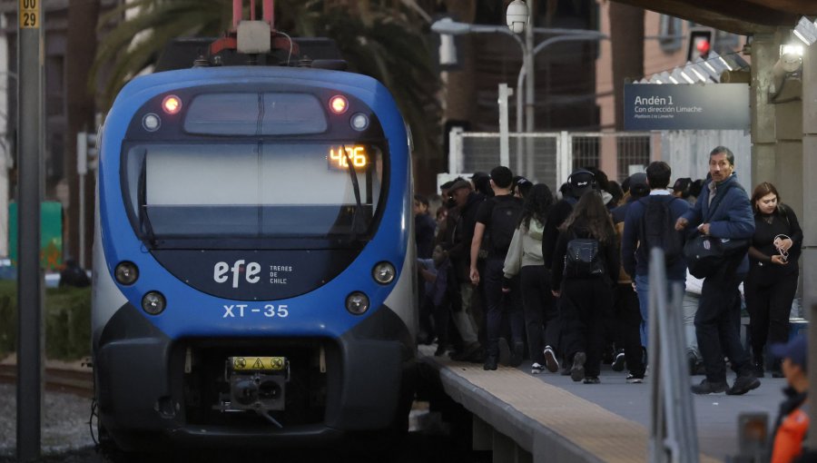 Por caída de un árbol: Servicio del Tren Limache - Puerto operará con frecuencia de 30 minutos y trenes dobles