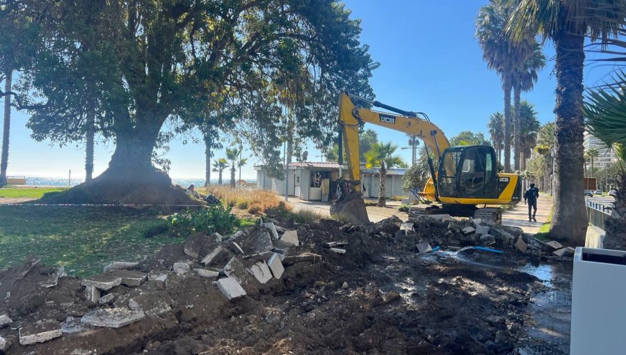 Comienzan obras de mejoramiento en Parque San Martín de Viña del Mar