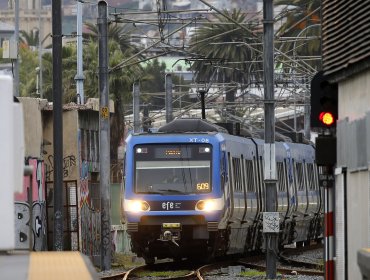 EFE Valparaíso confirma operación normal del Tren Limache-Puerto tras caída de árbol