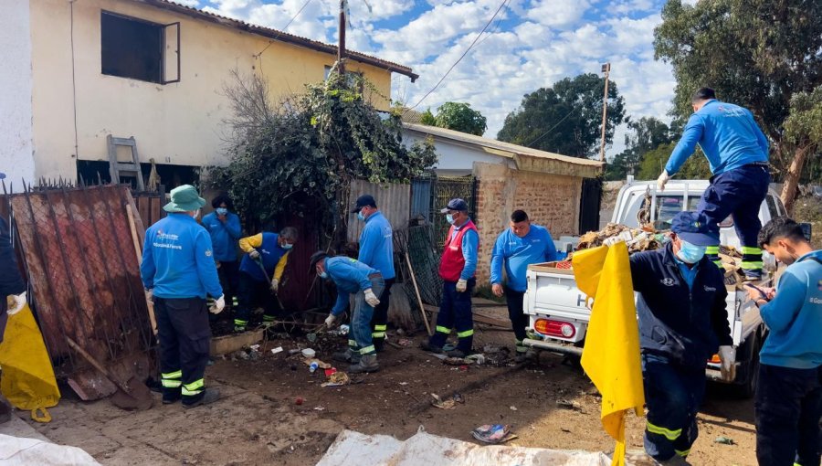 Operativo del Municipio de Viña en Gómez Carreño culmina con el rescate de 35 mascotas y limpieza de foco de insalubridad