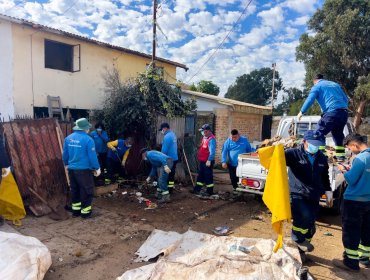 Operativo del Municipio de Viña en Gómez Carreño culmina con el rescate de 35 mascotas y limpieza de foco de insalubridad