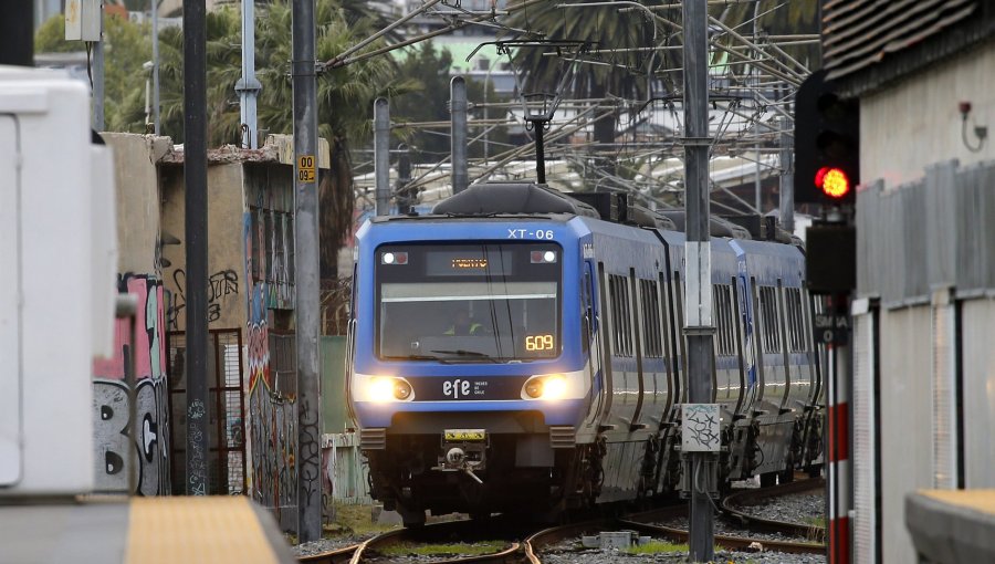 EFE Valparaíso confirma operación normal del Tren Limache-Puerto tras caída de árbol