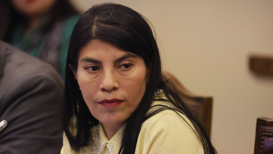 Corte confirma que Steinert no tiene facultades para invocar la Ley de Seguridad del Estado en querella por agresión a Lincolao