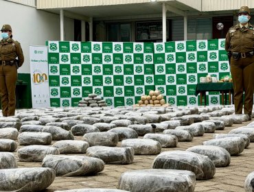 Decretan prisión preventiva para sujeto sorprendido con casi una tonelada de marihuana en sector El Panul de Coquimbo