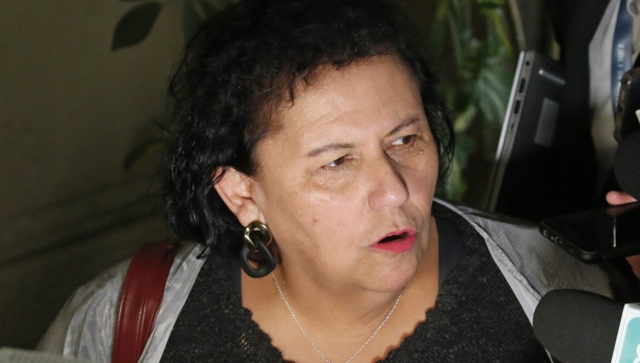 Lorena Pizarro tras portonazo y detención de dos escolares en Macul: “Me cuestionaría por qué hay niños de 17 años que llegan a eso”